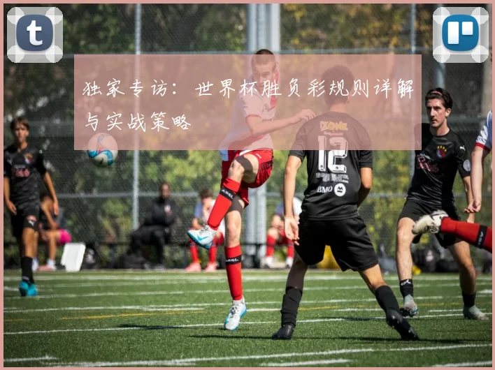 独家专访:世界杯胜负彩规则详解与实战策略