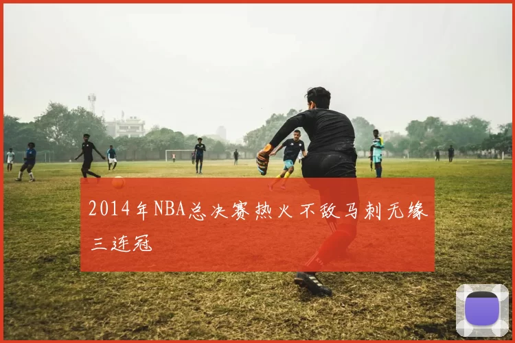 2014年NBA总决赛热火不敌马刺无缘三连冠