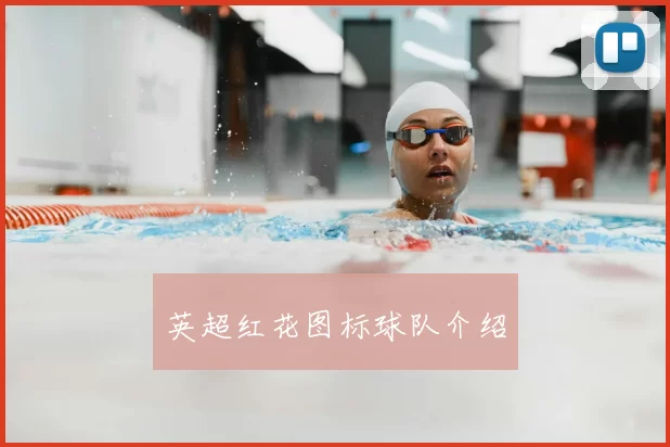 英超红花图标球队介绍
