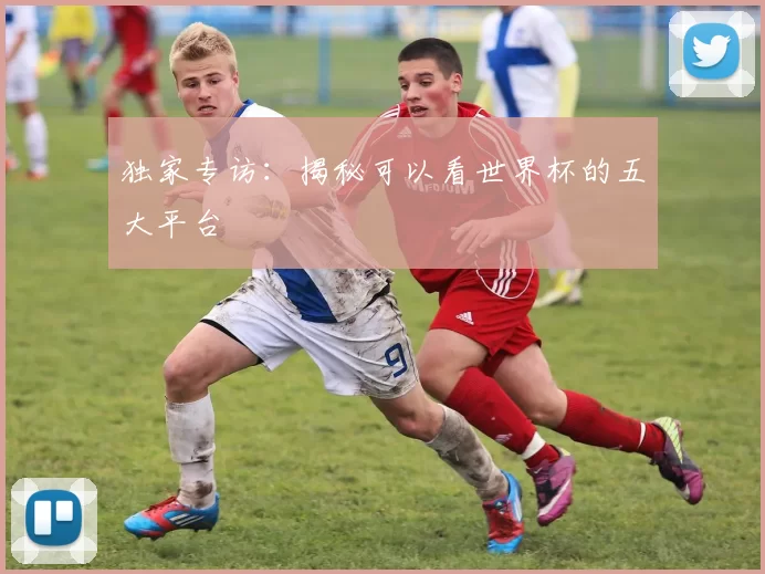 独家专访:揭秘可以看世界杯的五大平台