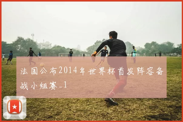 法国公布2014年世界杯首发阵容备战小组赛_1