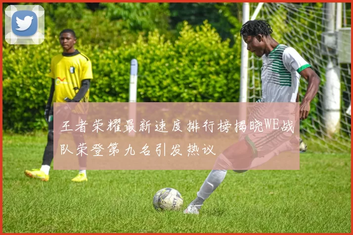 王者荣耀最新速度排行榜揭晓WE战队荣登第九名引发热议
