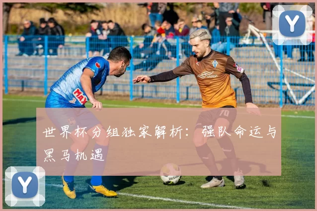 世界杯分组独家解析:强队命运与黑马机遇