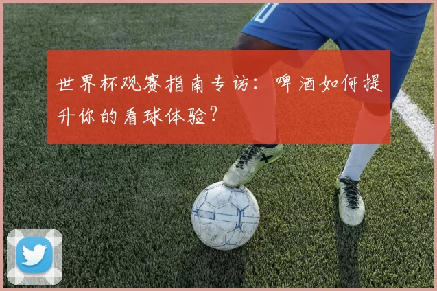 世界杯观赛指南专访：啤酒如何提升你的看球体验？