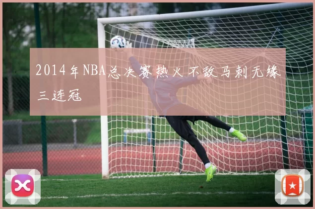 2014年NBA总决赛热火不敌马刺无缘三连冠