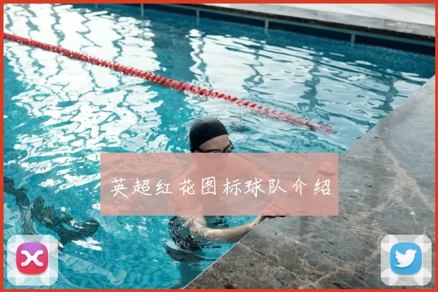 英超红花图标球队介绍