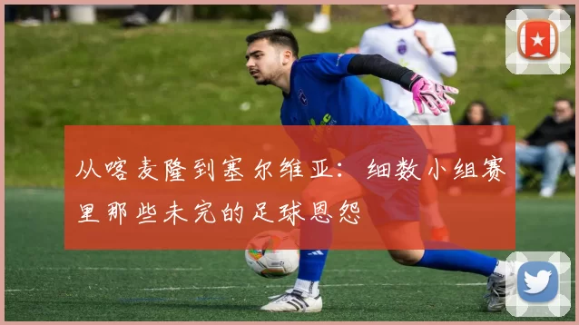 从喀麦隆到塞尔维亚：细数小组赛里那些未完的足球恩怨
