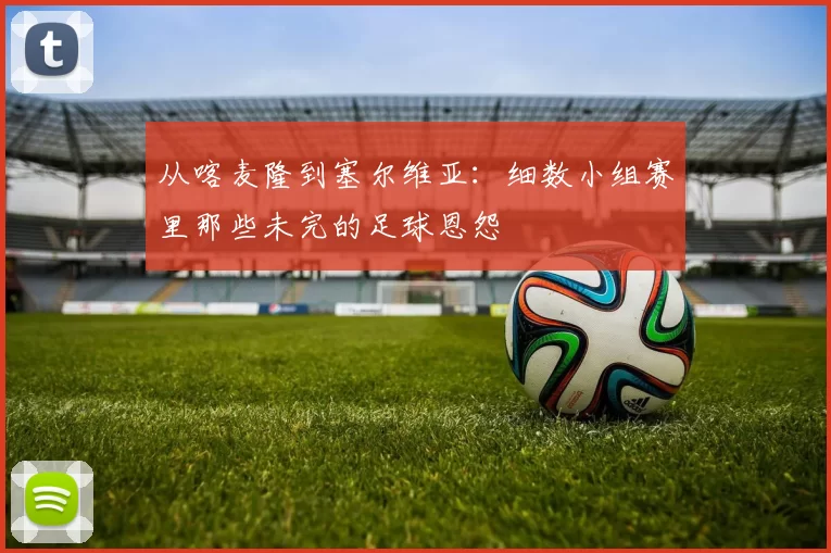 从喀麦隆到塞尔维亚：细数小组赛里那些未完的足球恩怨