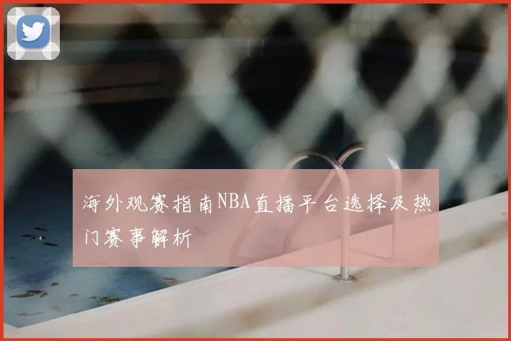 海外观赛指南NBA直播平台选择及热门赛事解析