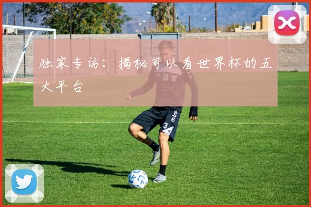 独家专访:揭秘可以看世界杯的五大平台