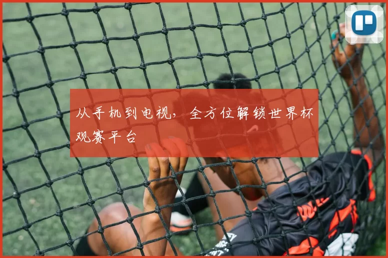 从手机到电视，全方位解锁世界杯观赛平台