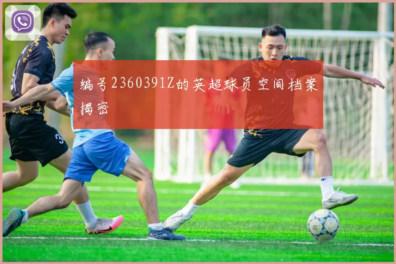 编号2360391Z的英超球员空间档案揭密