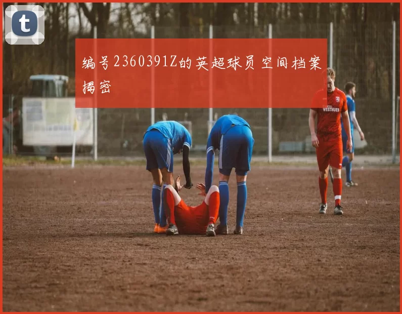 编号2360391Z的英超球员空间档案揭密