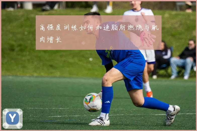 高强度训练如何加速脂肪燃烧与肌肉增长