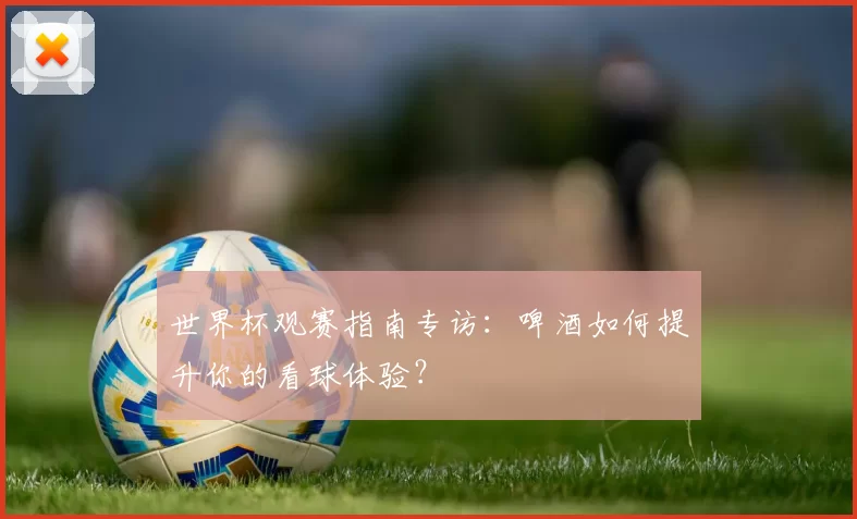 世界杯观赛指南专访：啤酒如何提升你的看球体验？