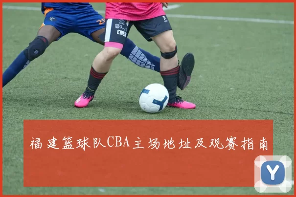 福建篮球队CBA主场地址及观赛指南