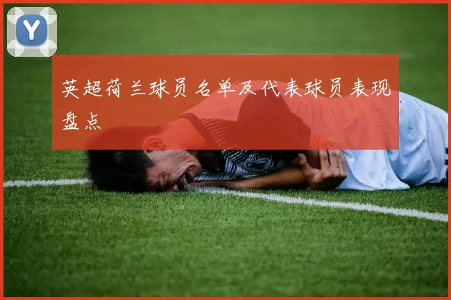 英超荷兰球员名单及代表球员表现盘点